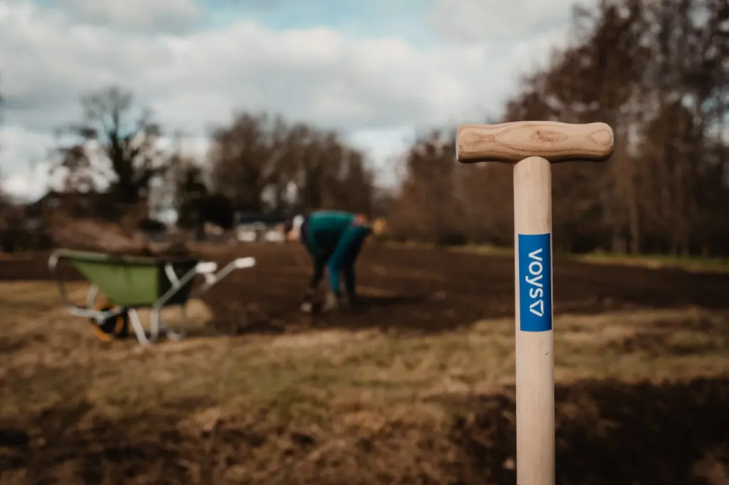Voys team planting trees