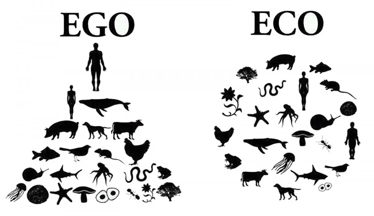Hark vs Connected