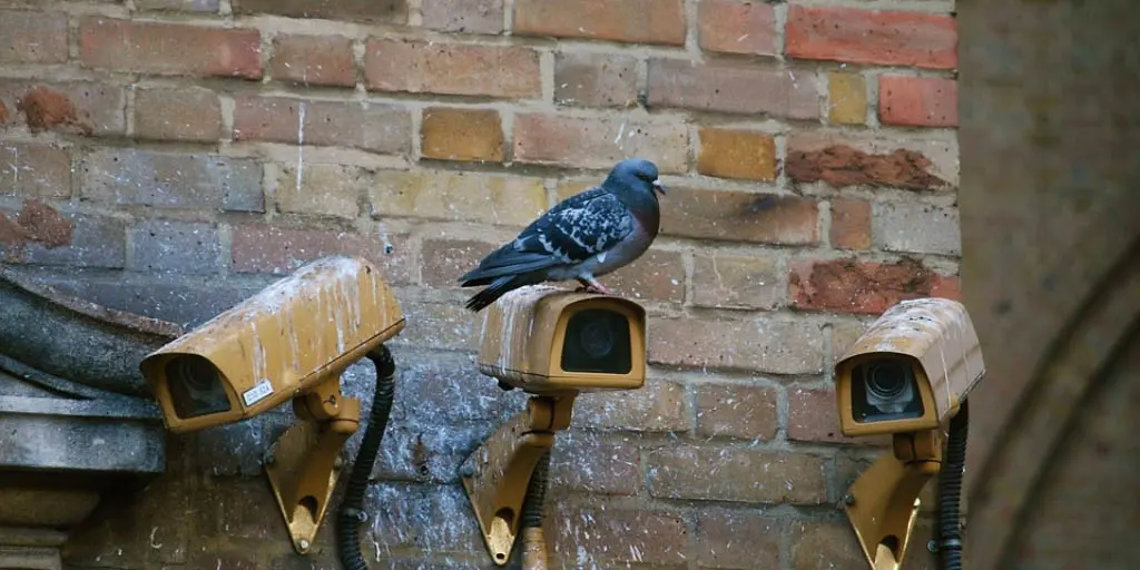 Privacyschending door de Nederlandse overheid Privacyschending door de Nederlandse overheid